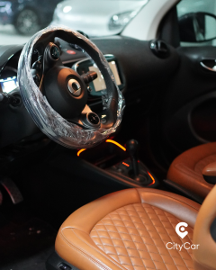 smart  Fortwo EQ Racingreen (22kW)